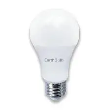 LED A19 60W EARTHBULB